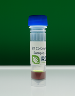 Taq 2X Colony PCR Master Mix with Dye