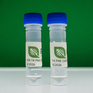 T4 Polynucleotide Kinase