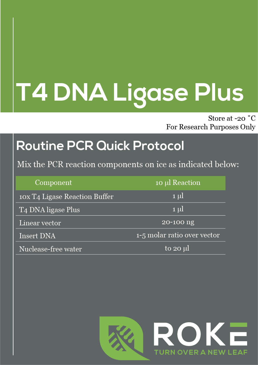 T4 DNA ligase Plus